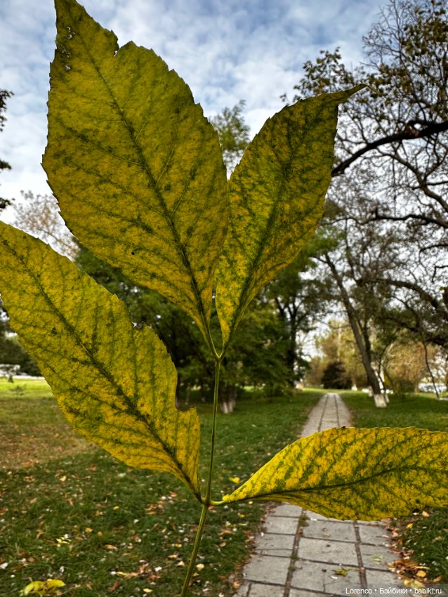 Каплица или Монастырское Урочище
