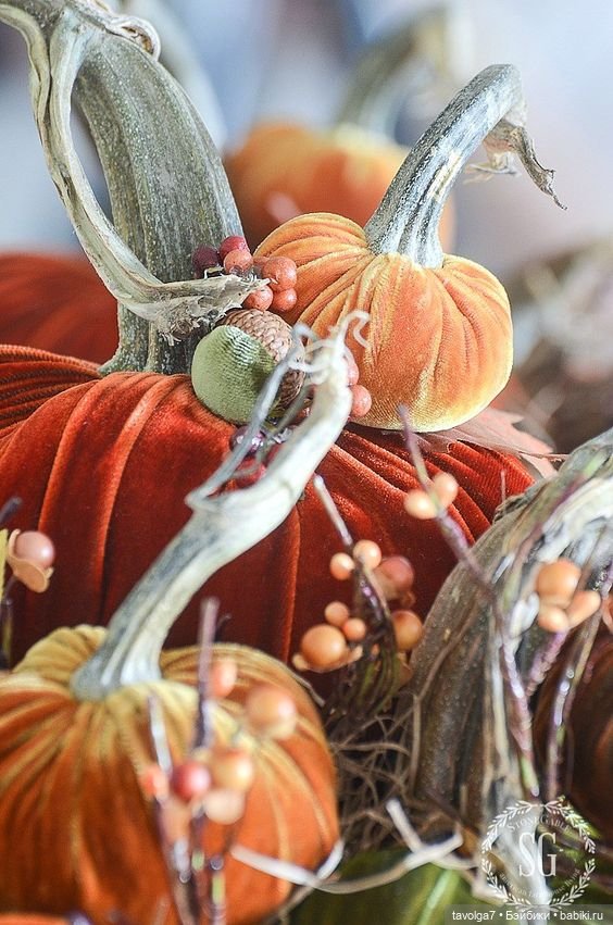 Бархатные тыквы для осенних праздников (фото 2)