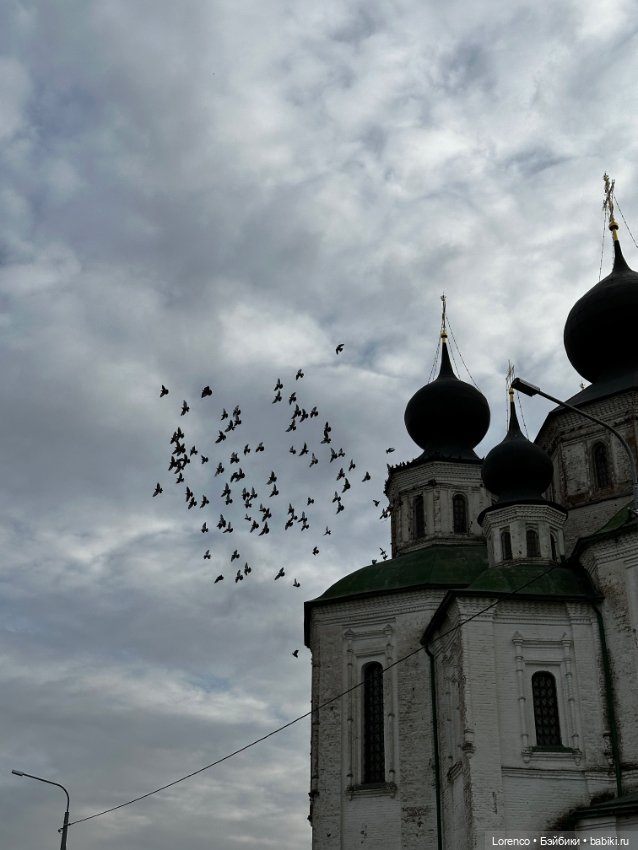 Станица Старочеркасская — Винтажные куклы ГДР (Немки): Бигги