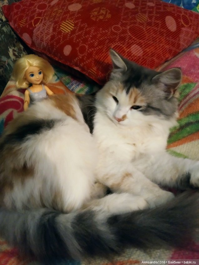 Спят усталые зверушки и игрушки