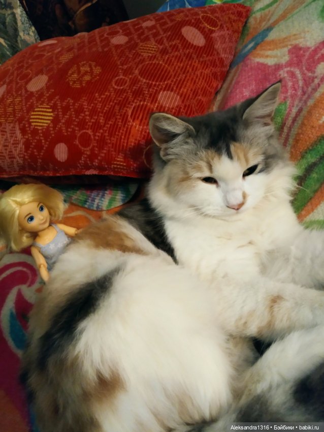 Спят усталые зверушки и игрушки