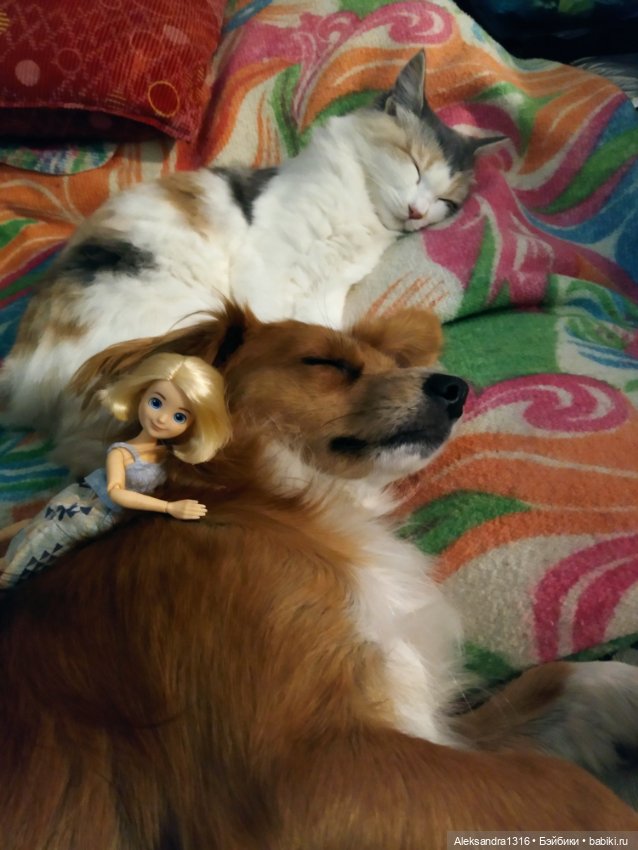 Спят усталые зверушки и игрушки (фото 3)