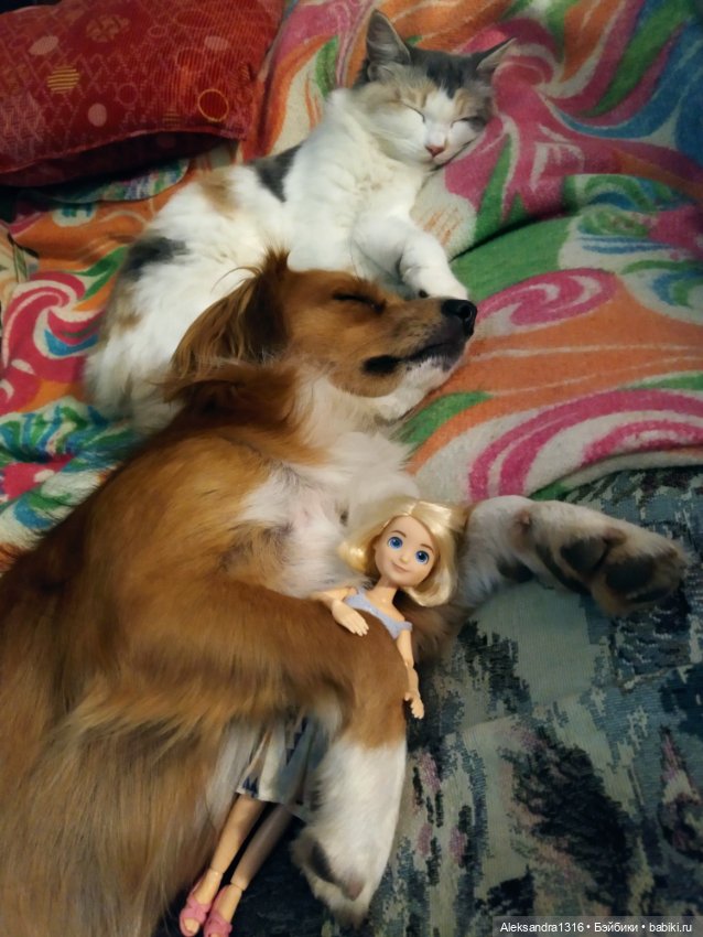 Спят усталые зверушки и игрушки (фото 7)