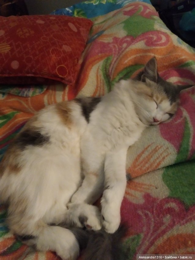 Спят усталые зверушки и игрушки