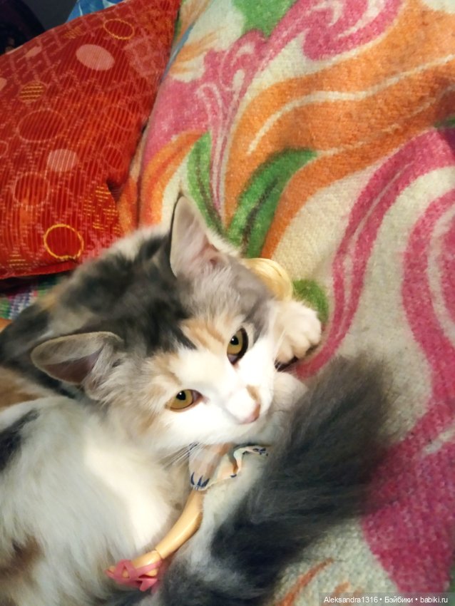 Спят усталые зверушки и игрушки