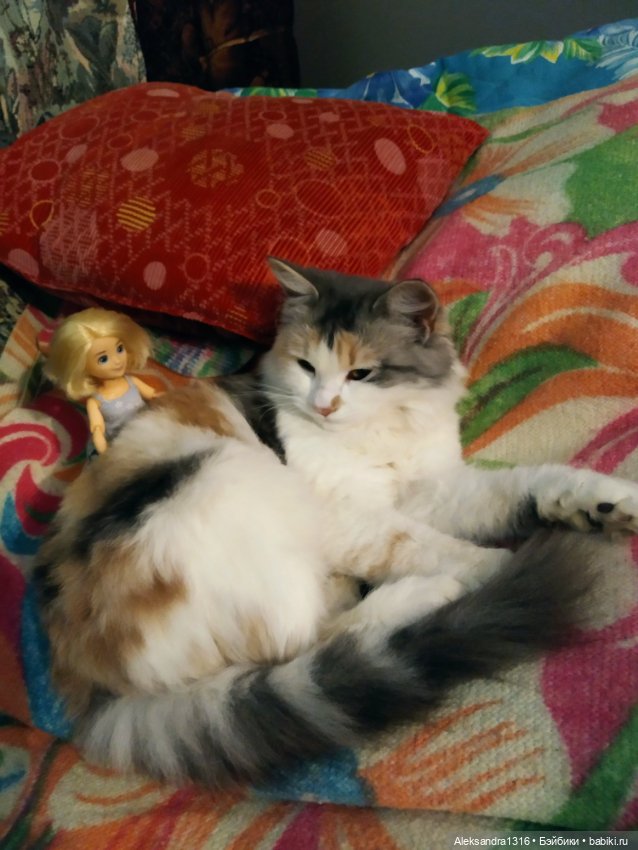 Спят усталые зверушки и игрушки