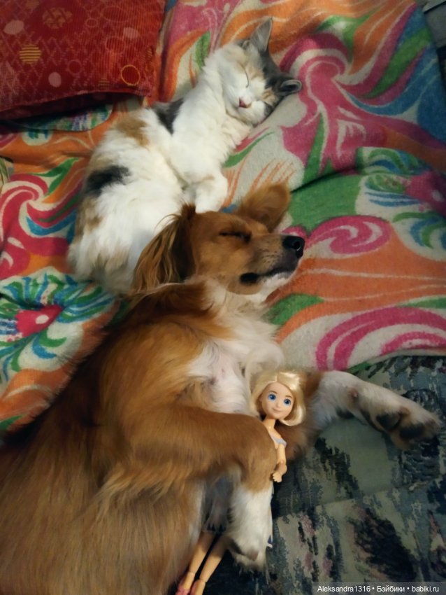 Спят усталые зверушки и игрушки