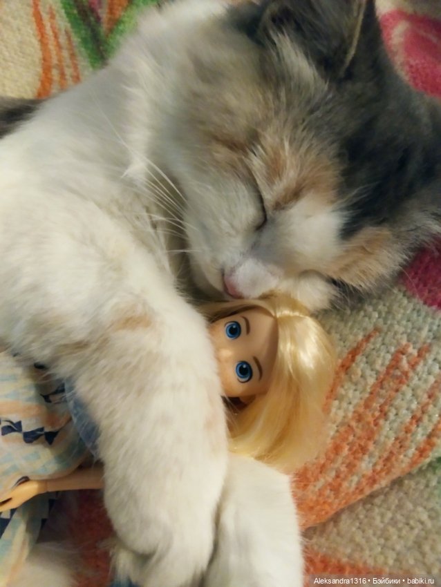 Спят усталые зверушки и игрушки