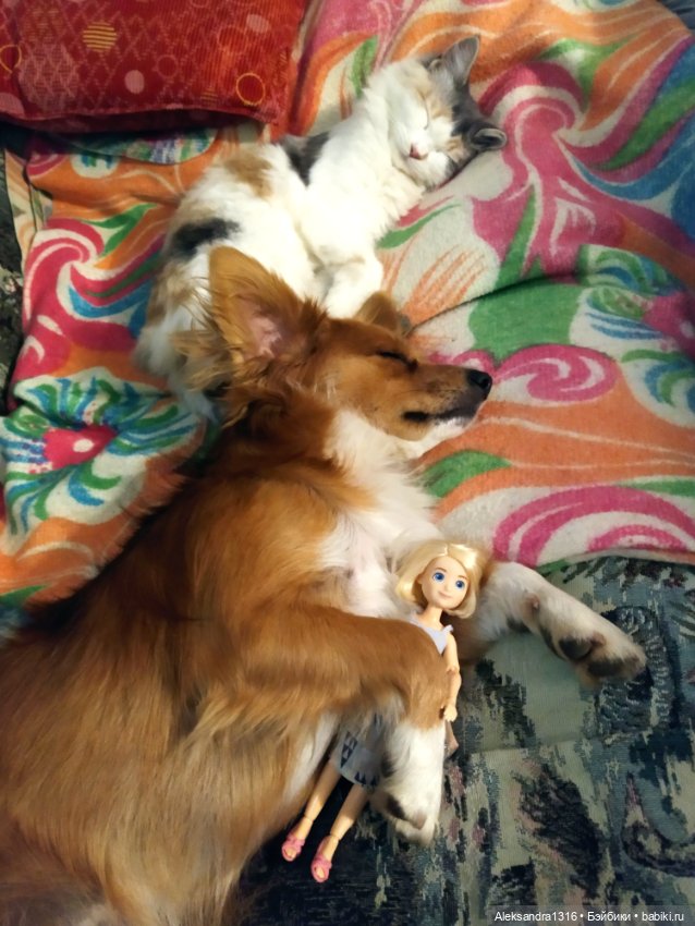 Спят усталые зверушки и игрушки (фото 9)