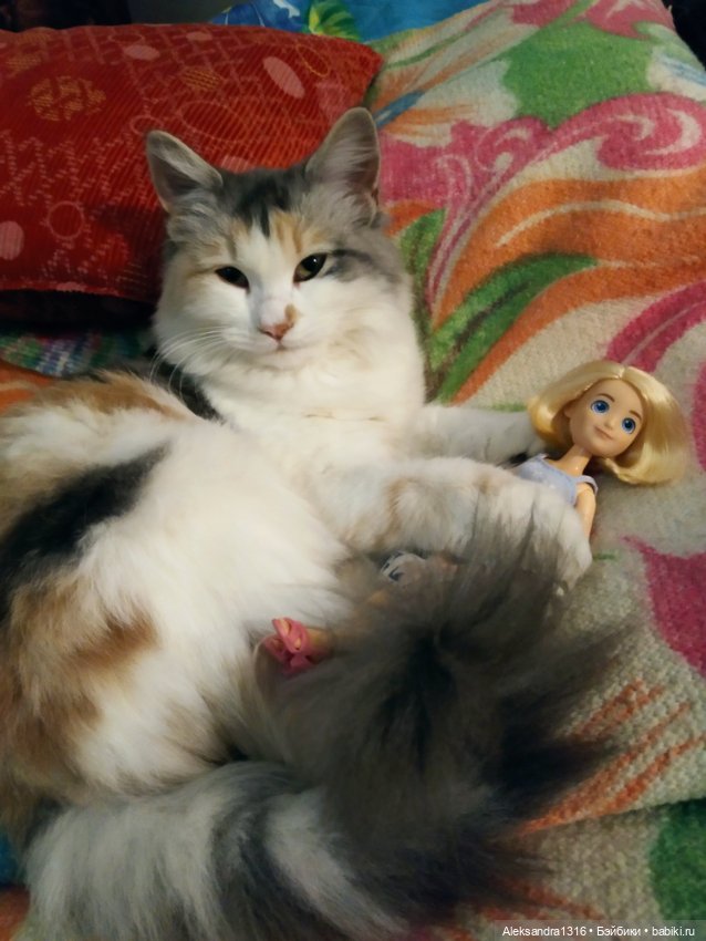 Спят усталые зверушки и игрушки