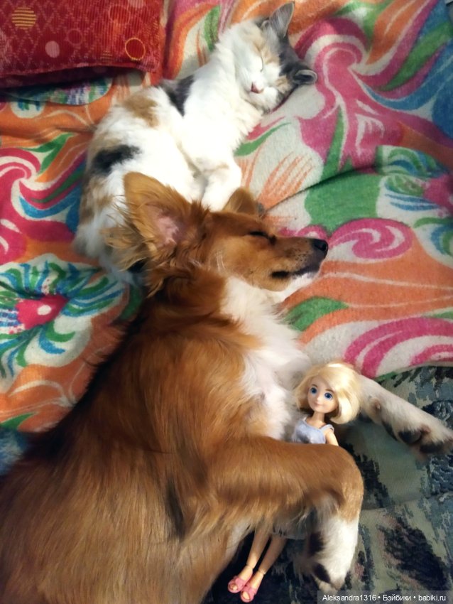 Спят усталые зверушки и игрушки