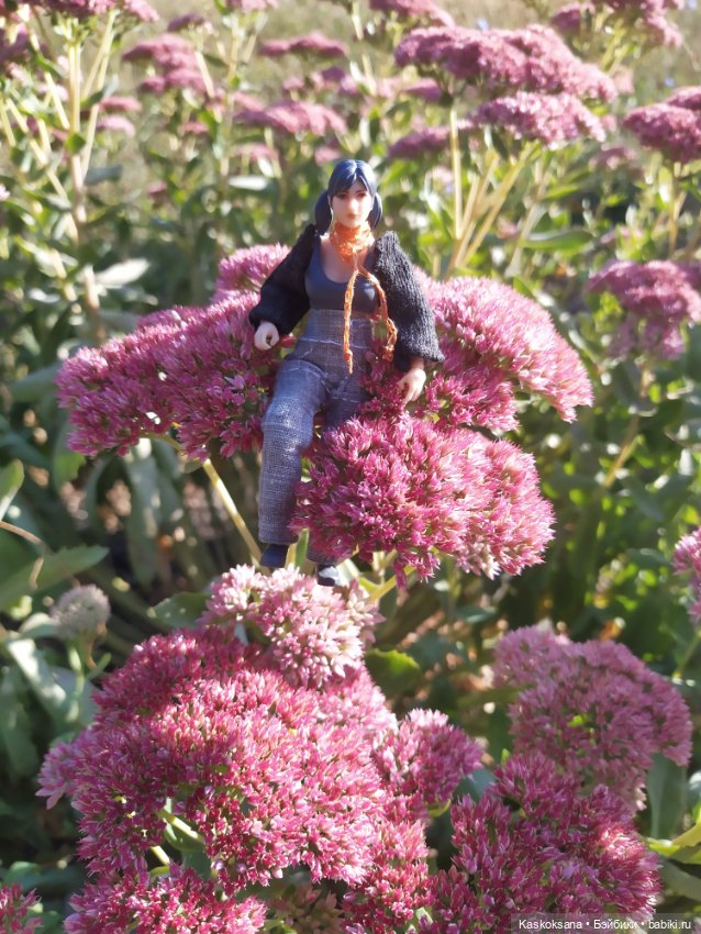 Осень номер шесть: Татка — Коллекционные экшн