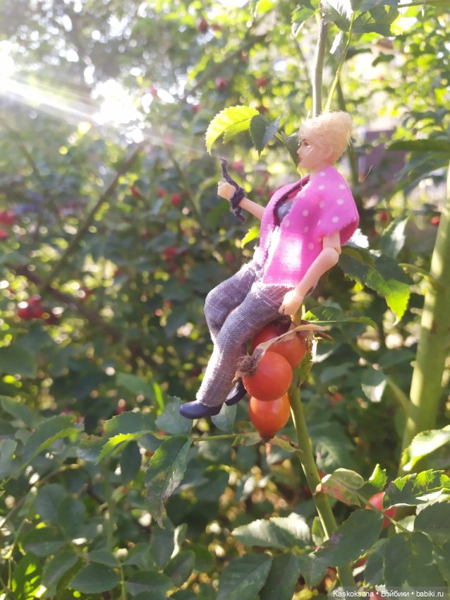 Осень номер пять: Ксанка — Коллекционные экшн (фото 2)