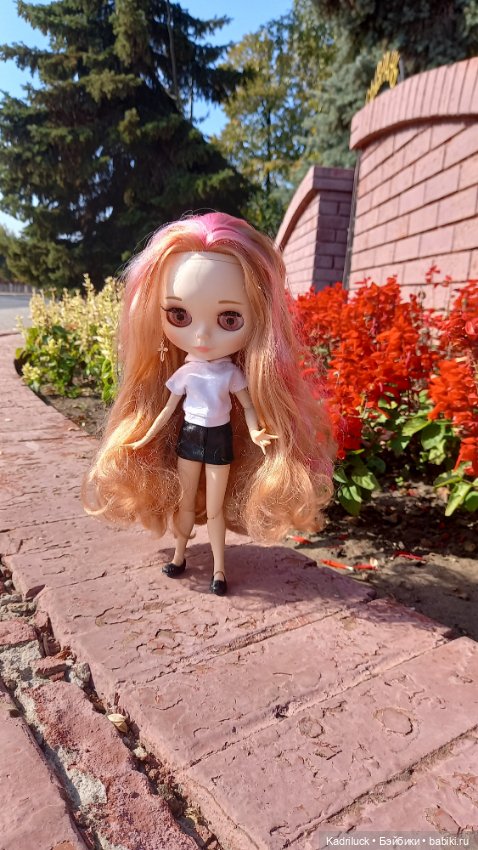 Давайте знакомиться 2 — Куклы Blythe TBL (ТБЛ) и аналоги: Блюх (фото 6)