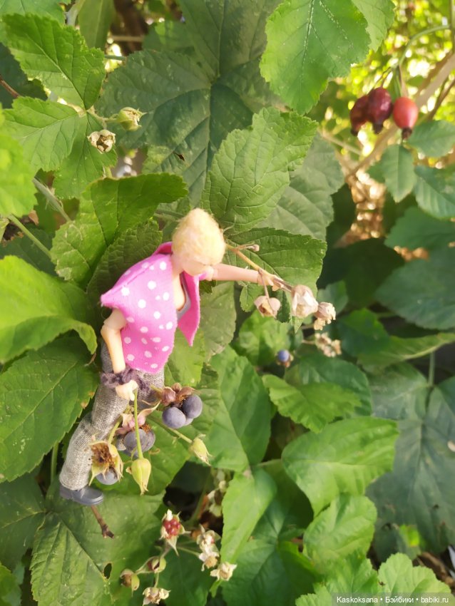 Осень номер пять: Ксанка — Коллекционные экшн