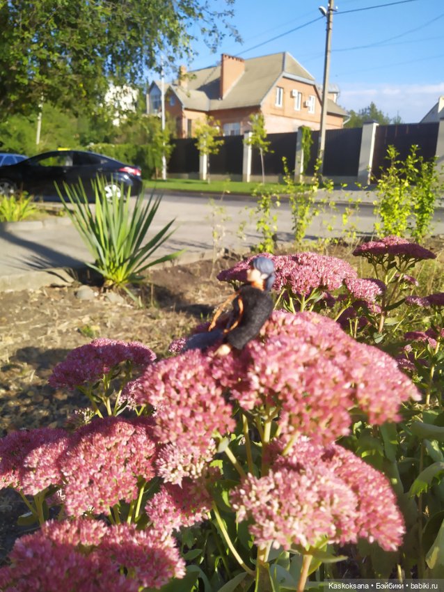 Осень номер шесть: Татка — Коллекционные экшн