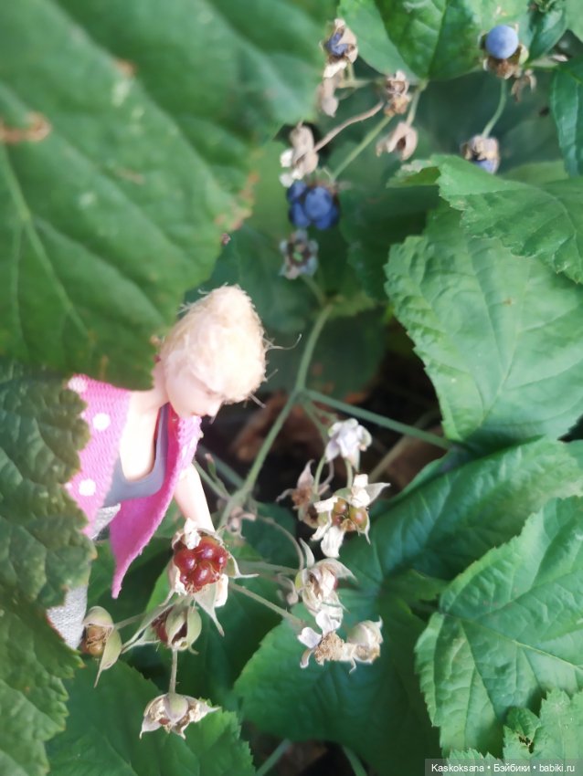 Осень номер пять: Ксанка — Коллекционные экшн