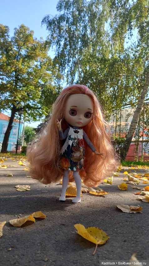 Давайте знакомиться 2 — Куклы Blythe TBL (ТБЛ) и аналоги: Блюх (фото 3)