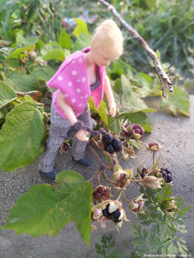 Осень номер пять: Ксанка — Коллекционные экшн (фото 8)