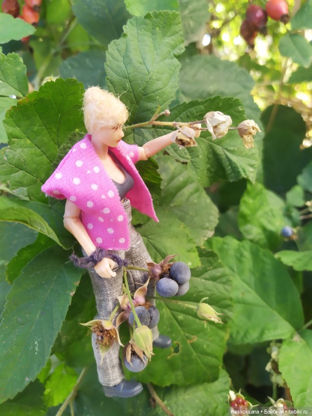 Осень номер пять: Ксанка — Коллекционные экшн