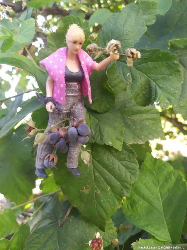 Осень номер пять: Ксанка — Коллекционные экшн