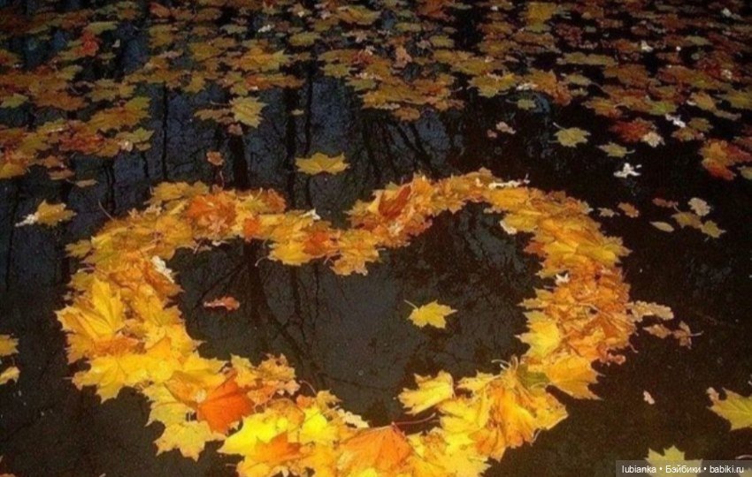 Вот и кончилось дачное лето...(ч.1)