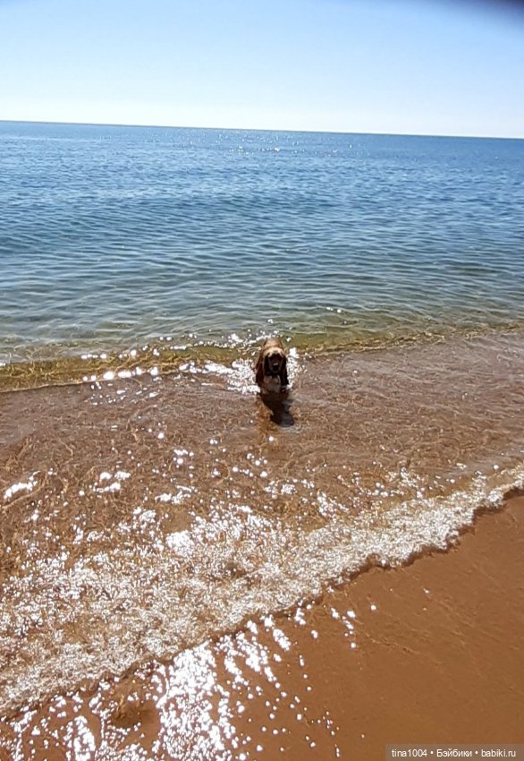 ИЗ ЖИЗНИ КУКОЛ Как они отдыхают 2 часть