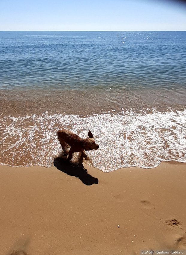 ИЗ ЖИЗНИ КУКОЛ Как они отдыхают 2 часть (фото 10)