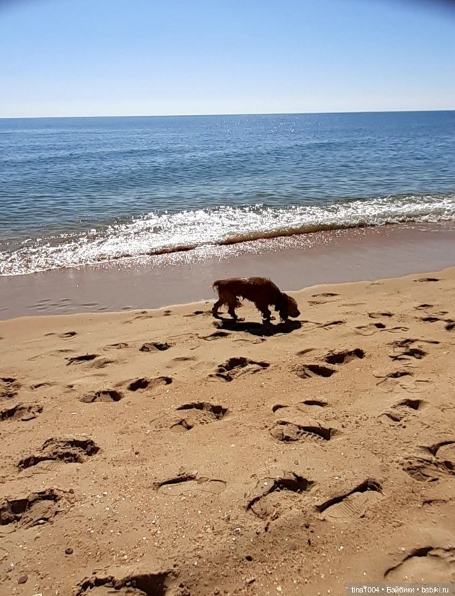 ИЗ ЖИЗНИ КУКОЛ Как они отдыхают 2 часть