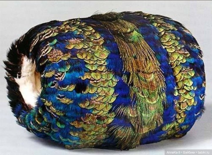 Шляпки и муфты с декором из перьев