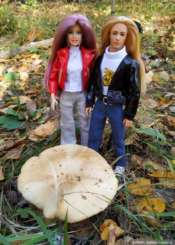 Знакомство новенького Арнольда и Илоны (фото 9)