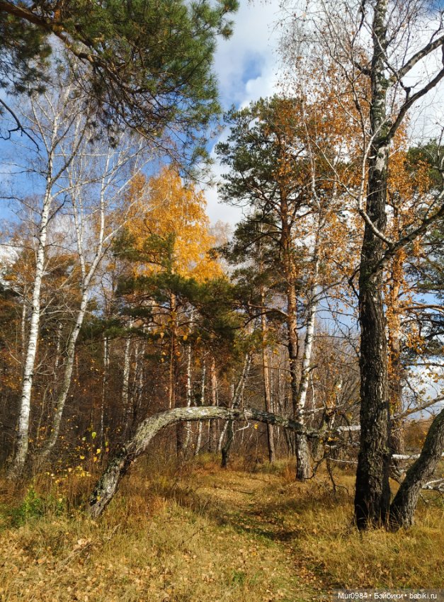 Знакомство новенького Арнольда и Илоны (фото 10)