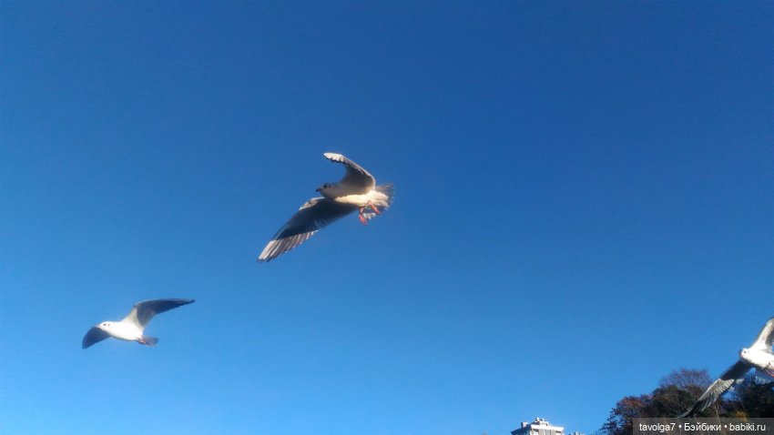 Ранний Самайн 2023 — Туризм и путешествия: фотоотчеты из поездок (фото 2)