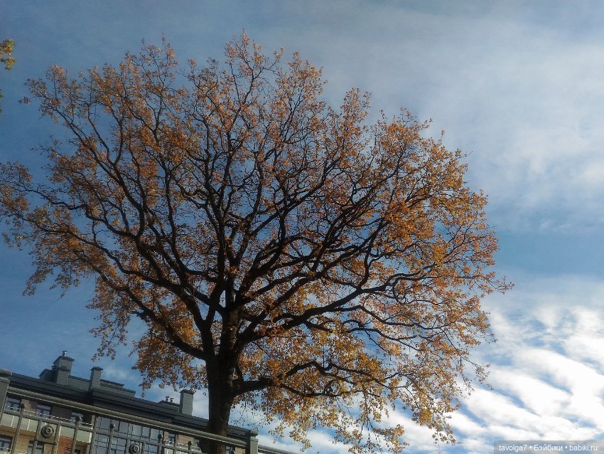 Ранний Самайн 2023 — Туризм и путешествия: фотоотчеты из поездок