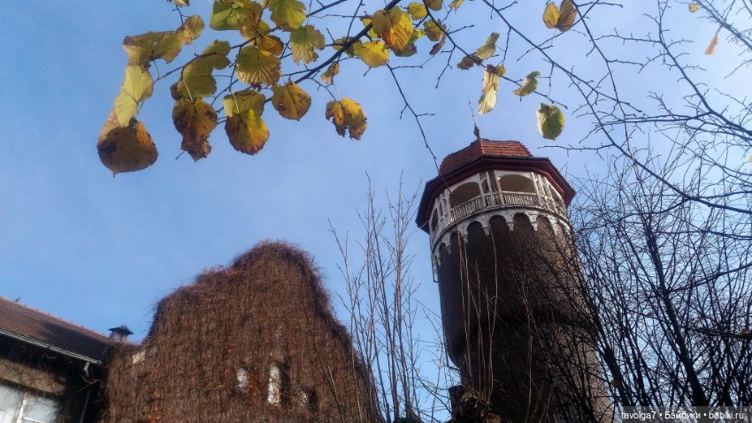 Ранний Самайн 2023 — Туризм и путешествия: фотоотчеты из поездок