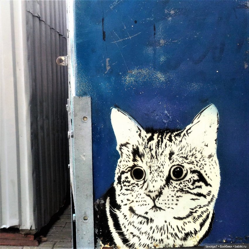 Ранний Самайн 2023 — Туризм и путешествия: фотоотчеты из поездок