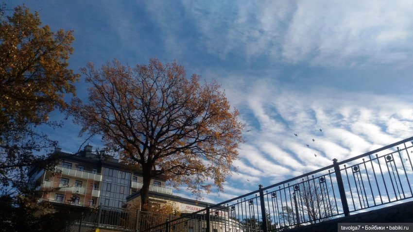 Ранний Самайн 2023 — Туризм и путешествия: фотоотчеты из поездок