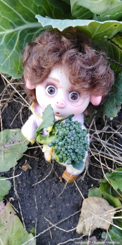 Нафочка на даче — Гибриды шарнирных кукол (не БЖД): подбор тела