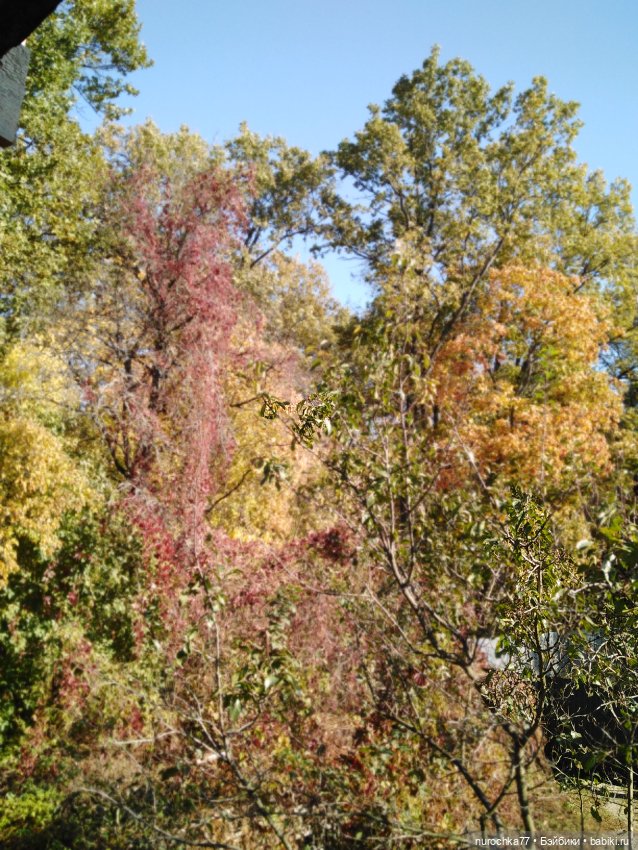 Нафочка на даче — Гибриды шарнирных кукол (не БЖД): подбор тела