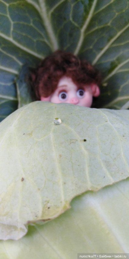 Нафочка на даче — Гибриды шарнирных кукол (не БЖД): подбор тела (фото 9)