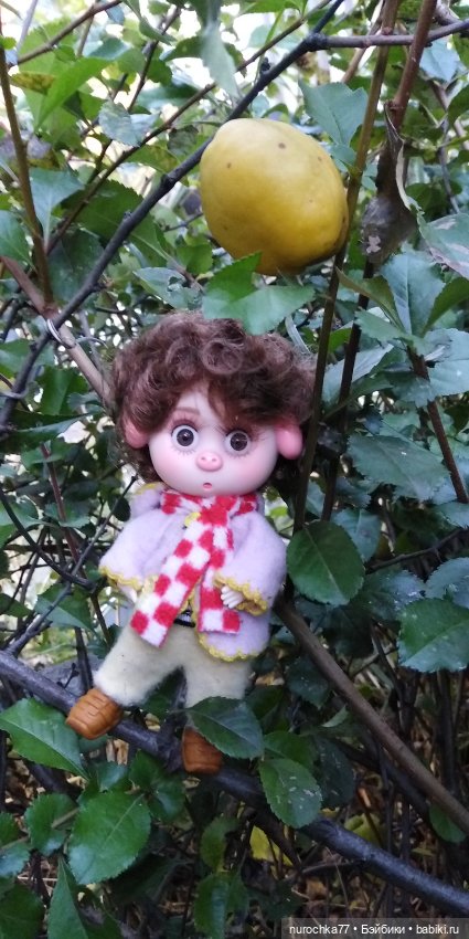 Нафочка на даче — Гибриды шарнирных кукол (не БЖД): подбор тела (фото 10)