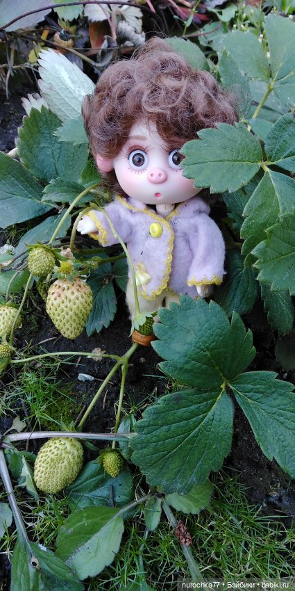 Нафочка на даче — Гибриды шарнирных кукол (не БЖД): подбор тела