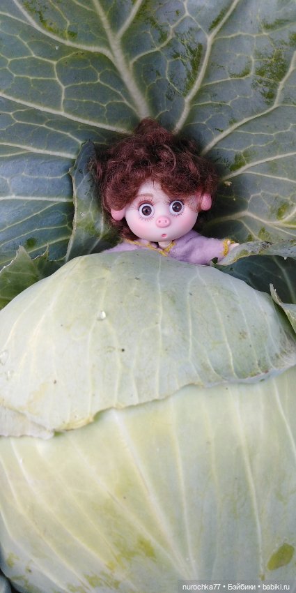 Нафочка на даче — Гибриды шарнирных кукол (не БЖД): подбор тела (фото 8)