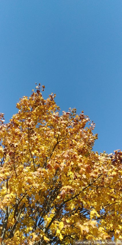 Нафочка на даче — Гибриды шарнирных кукол (не БЖД): подбор тела