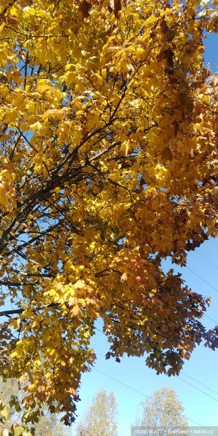 Нафочка на даче — Гибриды шарнирных кукол (не БЖД): подбор тела