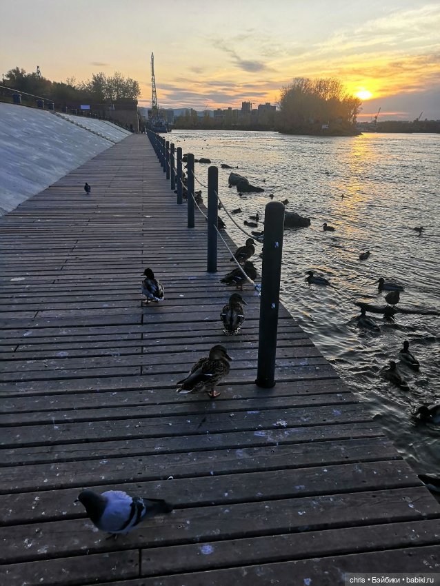 Осенняя прогулка гения и миллиардера (Hot toys Tony Stark) (фото 7)