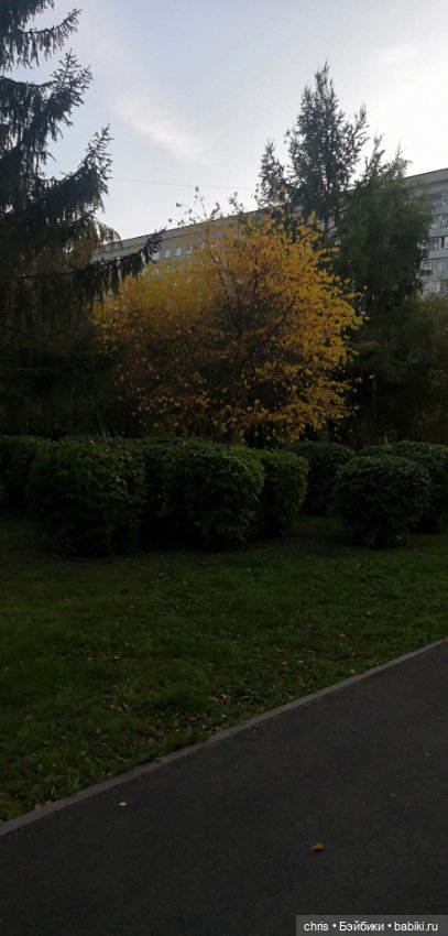 Осенняя прогулка гения и миллиардера (Hot toys Tony Stark) (фото 2)