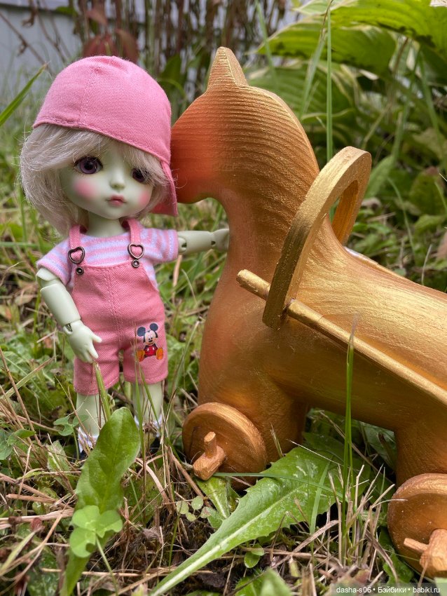 Мы едем, едем, едем — Куклы Latidoll (Лати): BJD (БЖД) (фото 2)