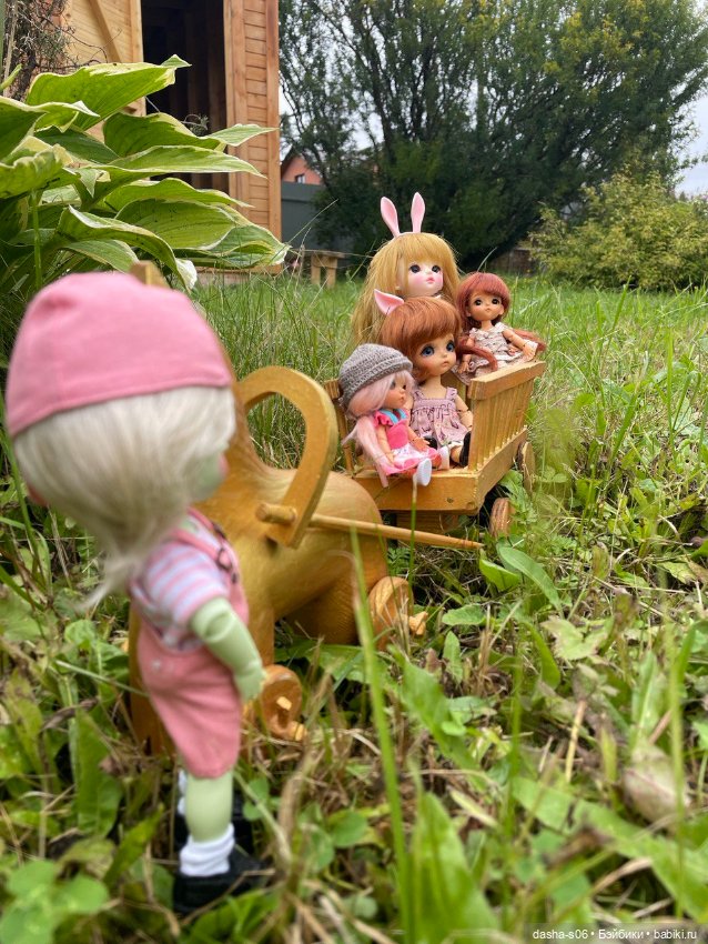 Мы едем, едем, едем — Куклы Latidoll (Лати): BJD (БЖД) (фото 3)