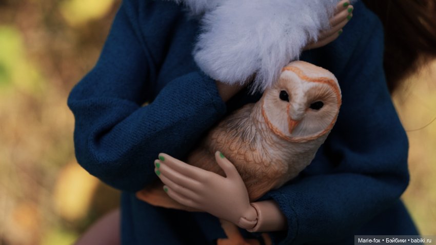 Снова в Хогвартс: листопад (фото 6)